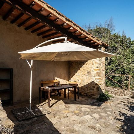 Agriturismo Santa Caterina Castelnuovo di Val di Cecina Kültér fotó