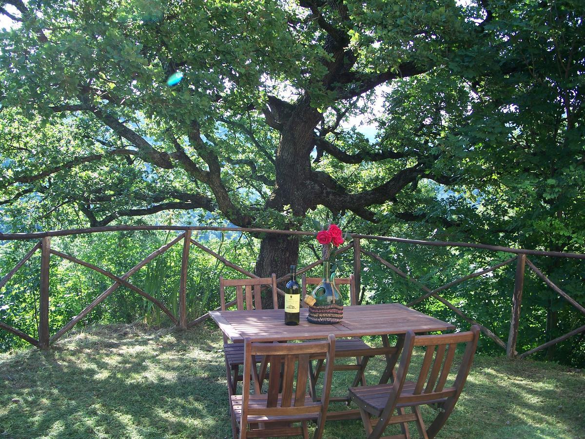 Agriturismo Santa Caterina Castelnuovo di Val di Cecina Kültér fotó