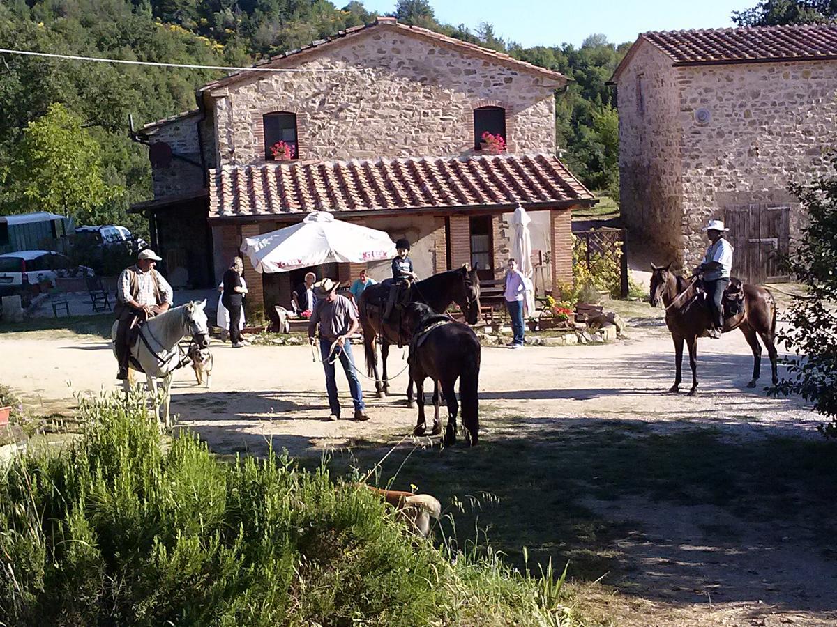 Agriturismo Santa Caterina Castelnuovo di Val di Cecina Kültér fotó
