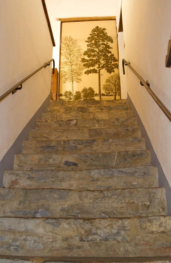 Agriturismo Santa Caterina Castelnuovo di Val di Cecina Szoba fotó